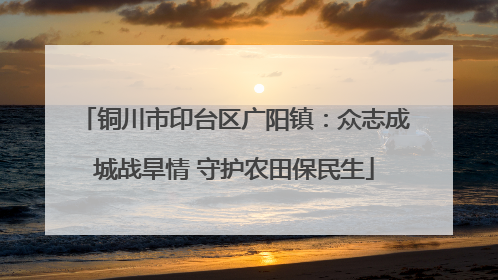 铜川市印台区广阳镇：众志成城战旱情 守护农田保民生