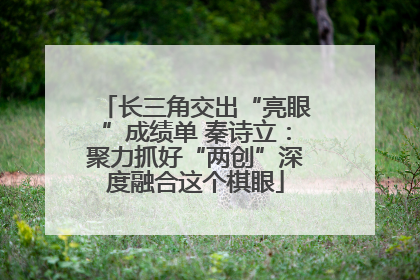 长三角交出“亮眼”成绩单 秦诗立：聚力抓好“两创”深度融合这个棋眼