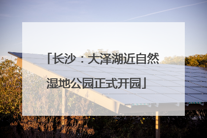 长沙：大泽湖近自然湿地公园正式开园