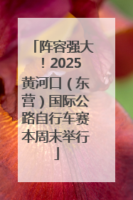 阵容强大！2025黄河口（东营）国际公路自行车赛本周末举行