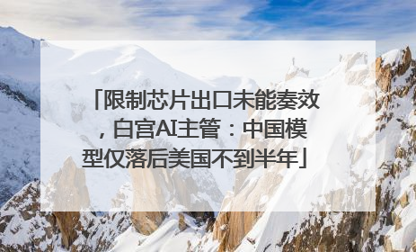 限制芯片出口未能奏效，白宫AI主管：中国模型仅落后美国不到半年