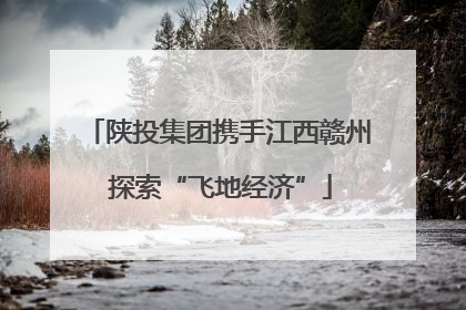 陕投集团携手江西赣州 探索“飞地经济”