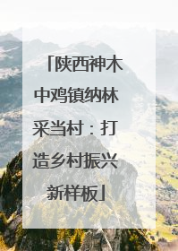 陕西神木中鸡镇纳林采当村：打造乡村振兴新样板