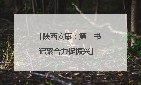 陕西安康：第一书记聚合力促振兴