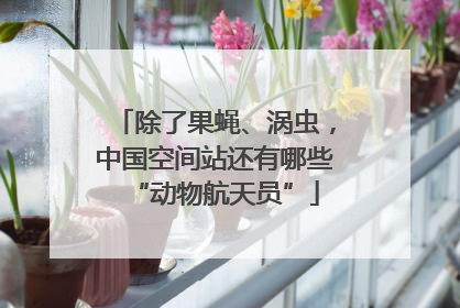 除了果蝇、涡虫，中国空间站还有哪些“动物航天员”