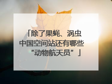 除了果蝇、涡虫 中国空间站还有哪些“动物航天员”