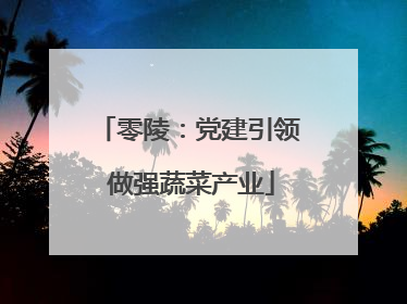 零陵：党建引领 做强蔬菜产业