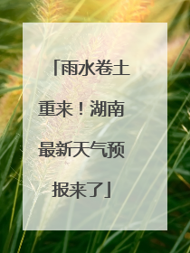 雨水卷土重来！湖南最新天气预报来了