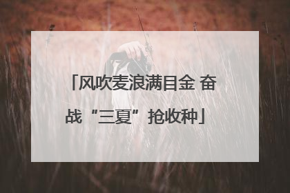 风吹麦浪满目金 奋战“三夏”抢收种