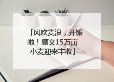 风吹麦浪，开镰啦！顺义15万亩小麦迎来丰收