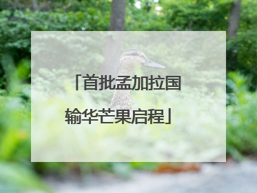 首批孟加拉国输华芒果启程