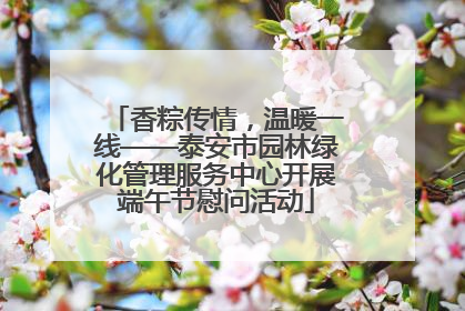 香粽传情，温暖一线——泰安市园林绿化管理服务中心开展端午节慰问活动