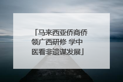 马来西亚侨商侨领广西研修 学中医看非遗谋发展