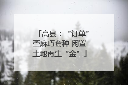 高县：“订单”苎麻巧套种 闲置土地再生“金”