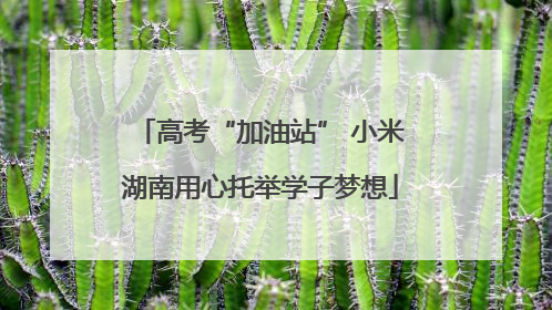 高考“加油站” 小米湖南用心托举学子梦想