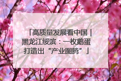 高质量发展看中国｜黑龙江绥滨：一枚鹅蛋打造出“产业图腾”
