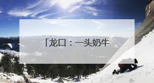 龙口：一头奶牛的“智慧生活”