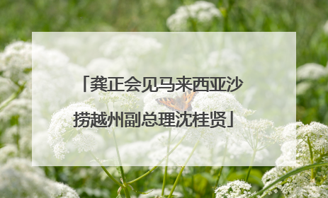龚正会见马来西亚沙捞越州副总理沈桂贤