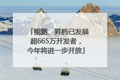 鲲鹏、昇腾已发展超665万开发者，今年将进一步开放