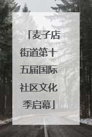 麦子店街道第十五届国际社区文化季启幕
