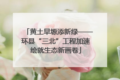 黄土旱塬添新绿——环县“三北”工程加速绘就生态新画卷