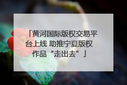 黄河国际版权交易平台上线 助推宁夏版权作品“走出去”
