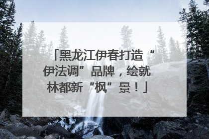 黑龙江伊春打造“伊法调”品牌，绘就林都新“枫”景！