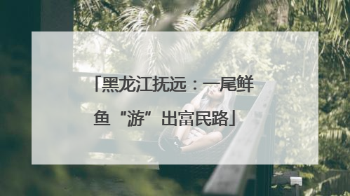 黑龙江抚远：一尾鲜鱼“游”出富民路