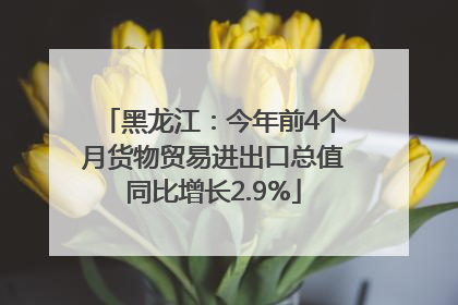 黑龙江：今年前4个月货物贸易进出口总值同比增长2.9%