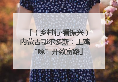 （乡村行·看振兴）内蒙古鄂尔多斯：土鸡“啄”开致富路