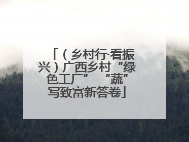 （乡村行·看振兴）广西乡村“绿色工厂” “蔬”写致富新答卷