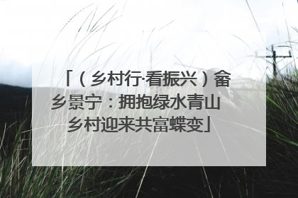 （乡村行·看振兴）畲乡景宁：拥抱绿水青山 乡村迎来共富蝶变