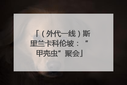 （外代一线）斯里兰卡科伦坡：“甲壳虫”聚会