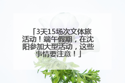 3天15场次文体旅活动！端午假期，在沈阳参加大型活动，这些事情要注意！