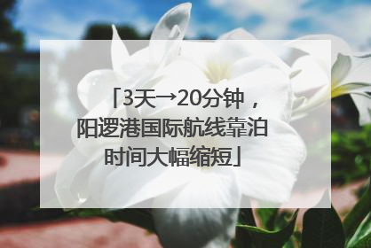 3天→20分钟，阳逻港国际航线靠泊时间大幅缩短