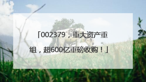 002379，重大资产重组，超600亿重磅收购！