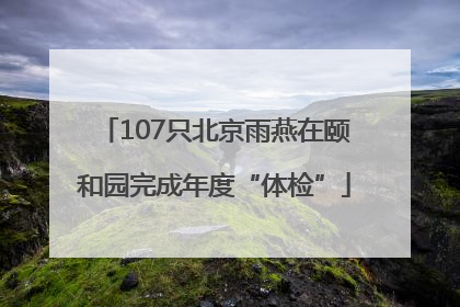 107只北京雨燕在颐和园完成年度“体检”