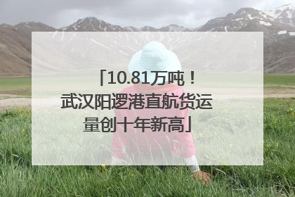 10.81万吨！武汉阳逻港直航货运量创十年新高