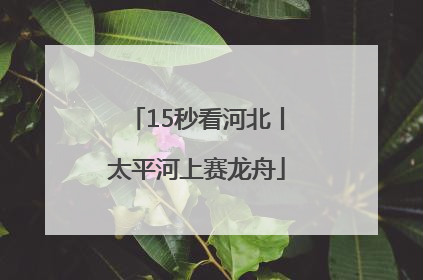 15秒看河北丨太平河上赛龙舟