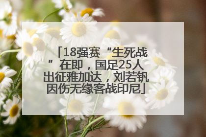 18强赛“生死战”在即，国足25人出征雅加达，刘若钒因伤无缘客战印尼