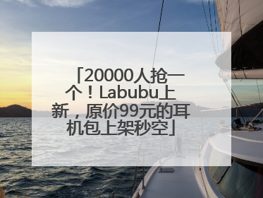 20000人抢一个！Labubu上新，原价99元的耳机包上架秒空