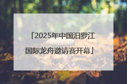 2025年中国汨罗江国际龙舟邀请赛开幕