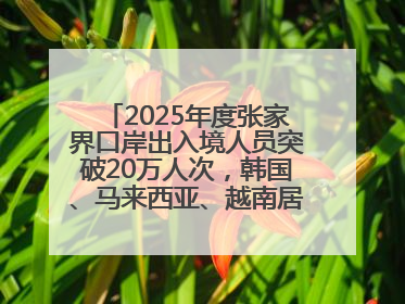 2025年度张家界口岸出入境人员突破20万人次，韩国、马来西亚、越南居客源国前三