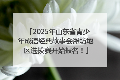 2025年山东省青少年成语经典故事会潍坊地区选拔赛开始报名！