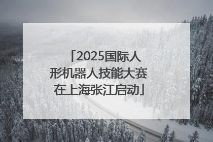2025国际人形机器人技能大赛在上海张江启动