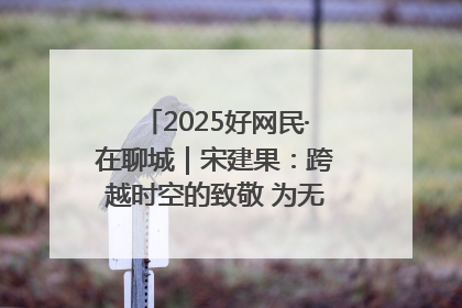 2025好网民·在聊城｜宋建果：跨越时空的致敬 为无名烈士“正名”