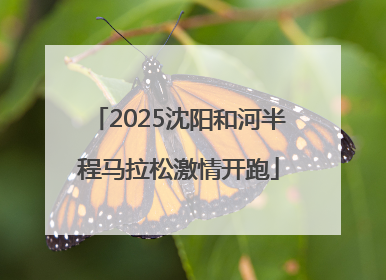 2025沈阳和河半程马拉松激情开跑