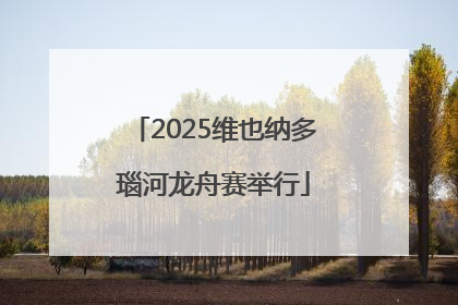 2025维也纳多瑙河龙舟赛举行