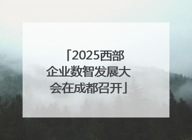 2025西部企业数智发展大会在成都召开