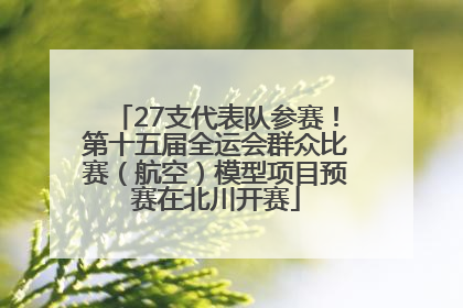 27支代表队参赛！第十五届全运会群众比赛（航空）模型项目预赛在北川开赛
